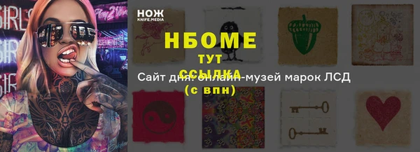 прущие грибы Армянск