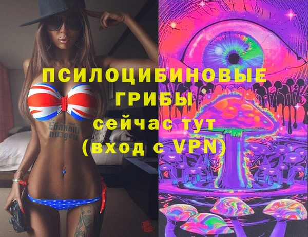 прущие грибы Армянск