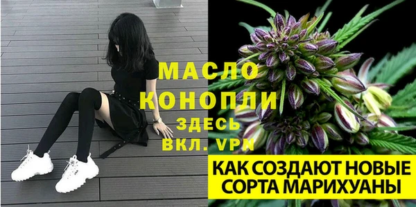 прущая мука Арсеньев
