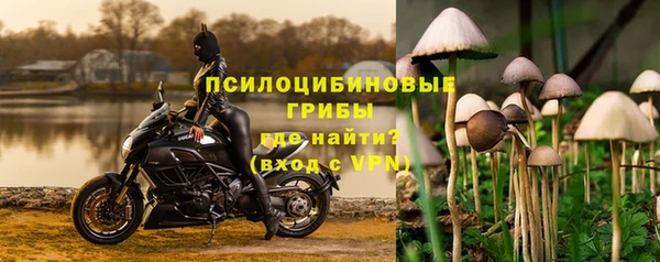 прущая мука Арсеньев